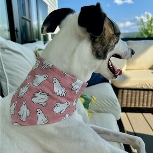 2/$15 Handmade Over the Collar Pink with Ghost Dog Bandana - 3 sizes
